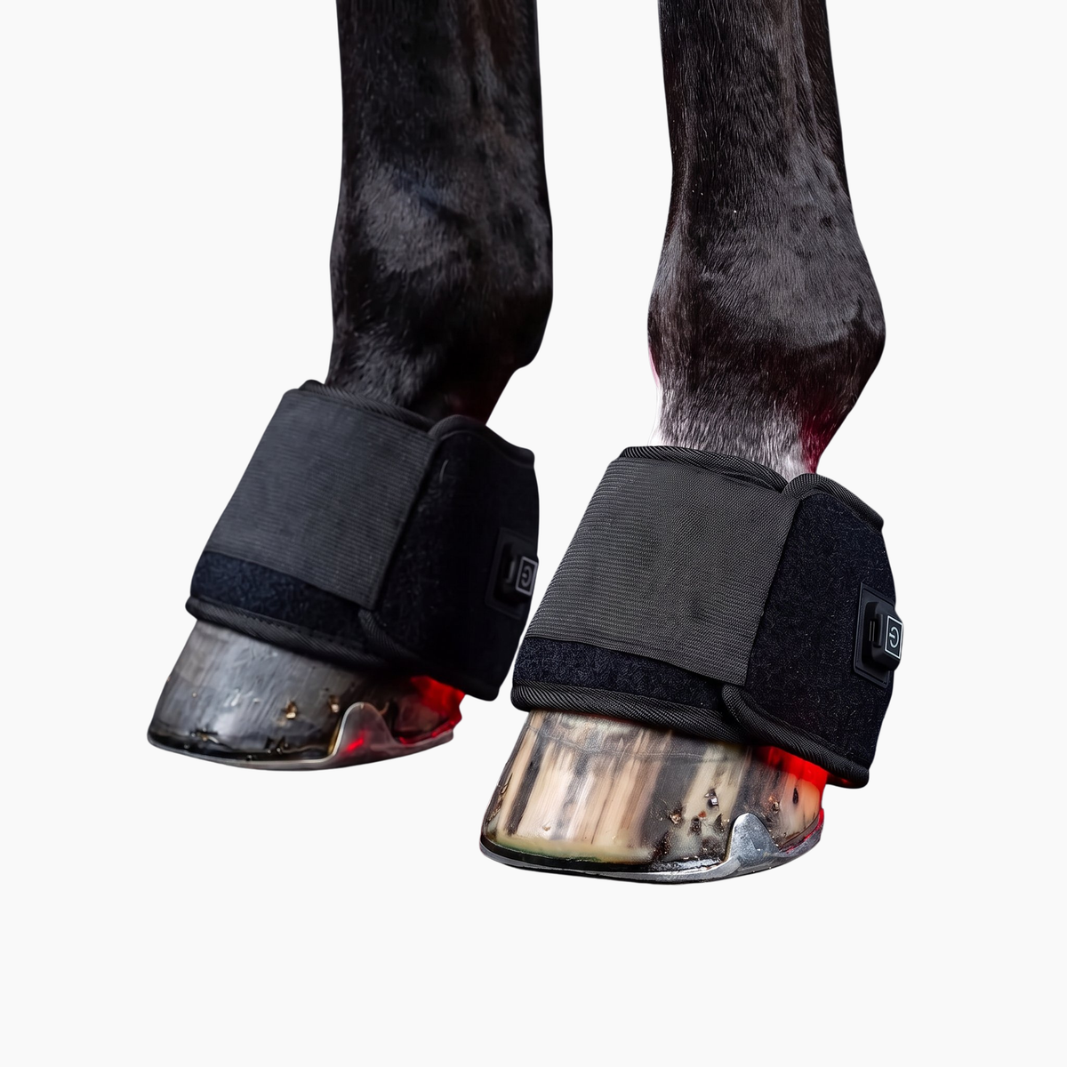 Rödljusterapi Boots för Hästens Kota & Hov 2-pack